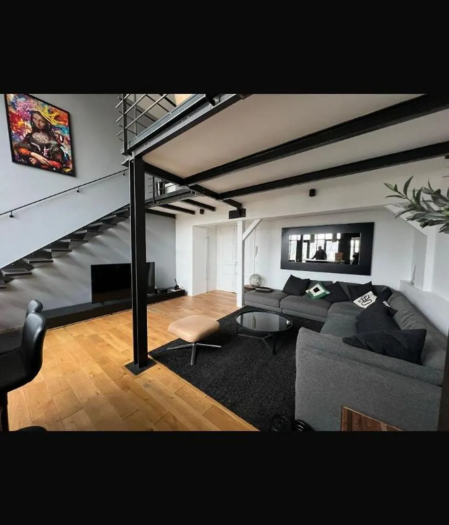 Luxury Loft Champs Elysee 巴黎 法国