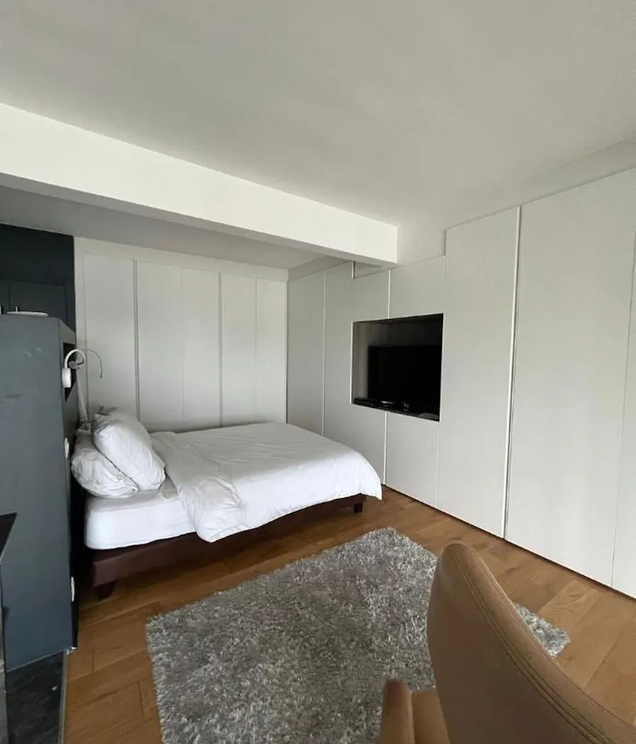 Luxury Loft Champs Elysee 巴黎 公寓