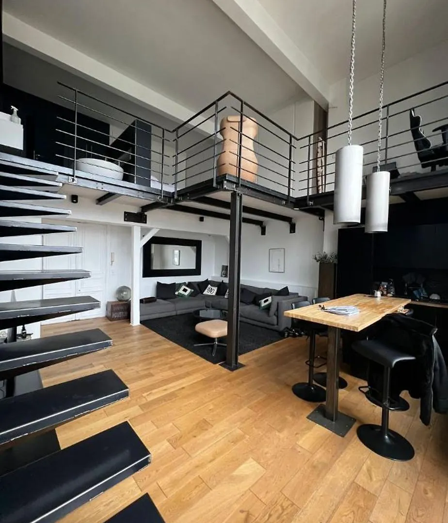 公寓 Luxury Loft Champs Elysee 巴黎 法国